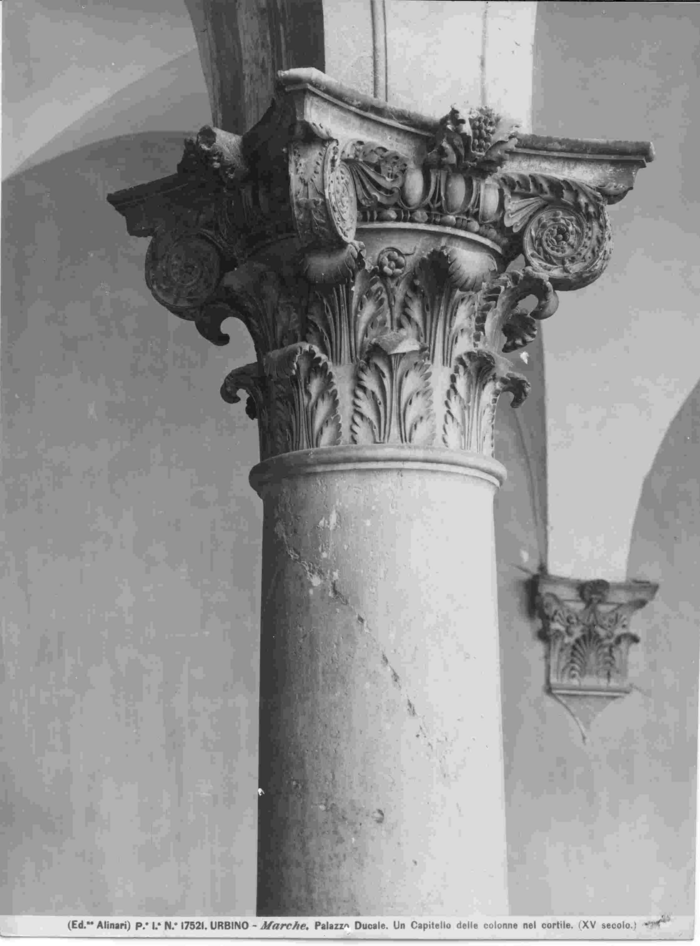 Urbino - Palazzo Ducale. Un capitello delle colonne nel cortile (XV secolo)