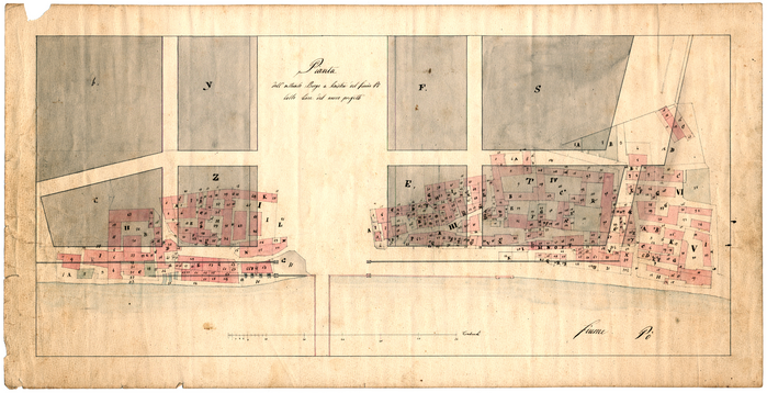 Mosca, famiglia (ex DICAS), Pianta/dell'attuale Borgo a Sinistra del fiume Po/Colle linee del nuovo progetto,1829