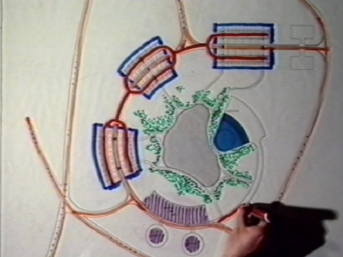 Analysis Spirae