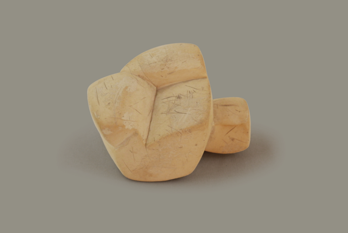 SEPIOLITE (campione lavorato), Hrubčice (Hrubschütz), Ivančice, Brno, Repubblica Ceca