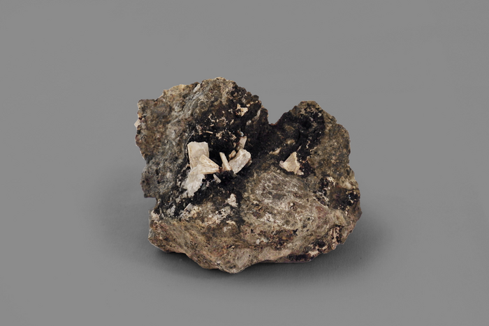 WOLLASTONITE, Complesso Monte Somma – Vesuvio, NA, Campania