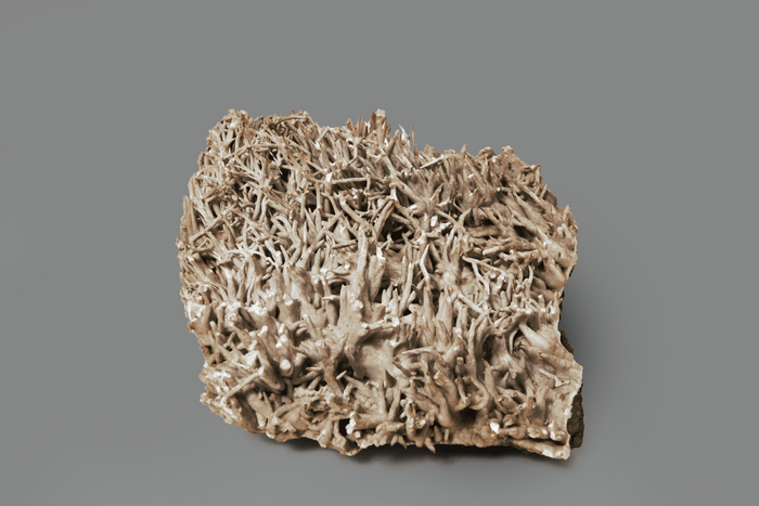 ARAGONITE (flos ferri), Eisenerz, Leoben , Stiria, Austria