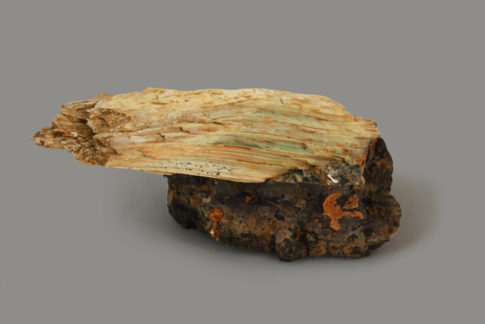 Fillosilicati