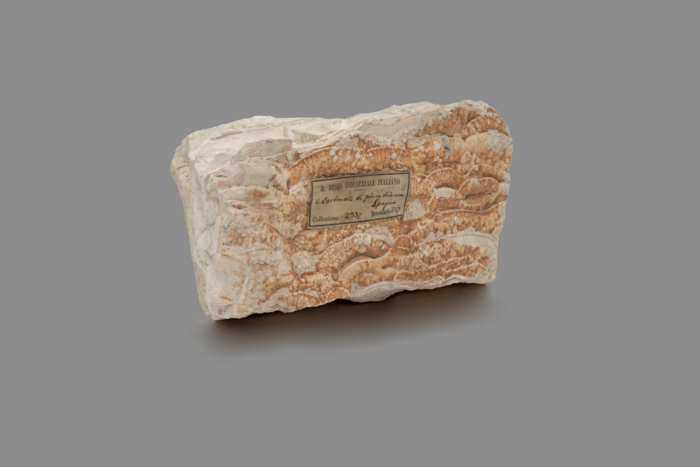 IDROZINCITE, Cantabria, Spagna