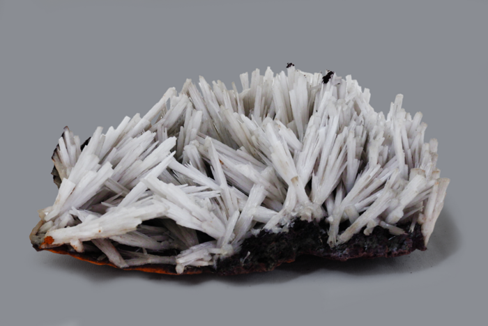 CERUSSITE su crosta limonitica, Miniera di Montevecchio, Guspini, SU, Sardegna