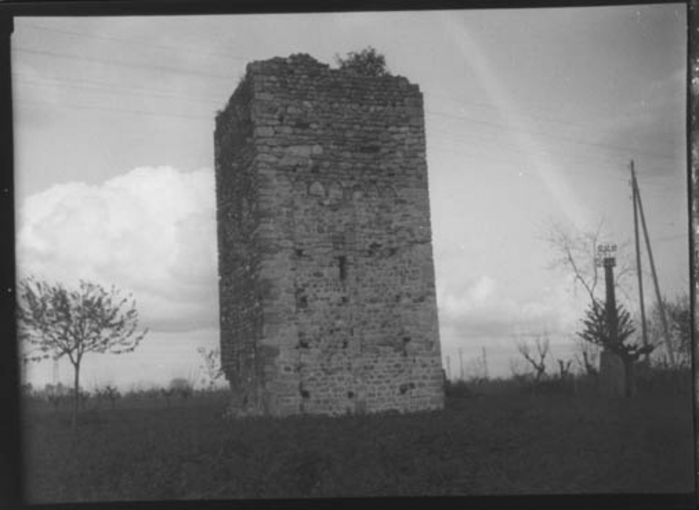 Paolo Verzone, Non identificato, torre, rovina